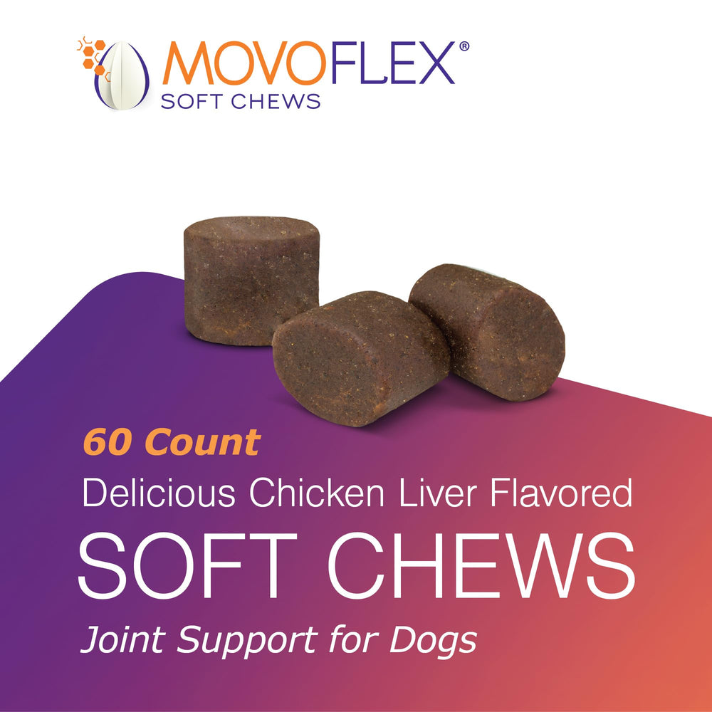 MOVOFLEX Soft Chews serving dish demonstrates palatable texture for daily use