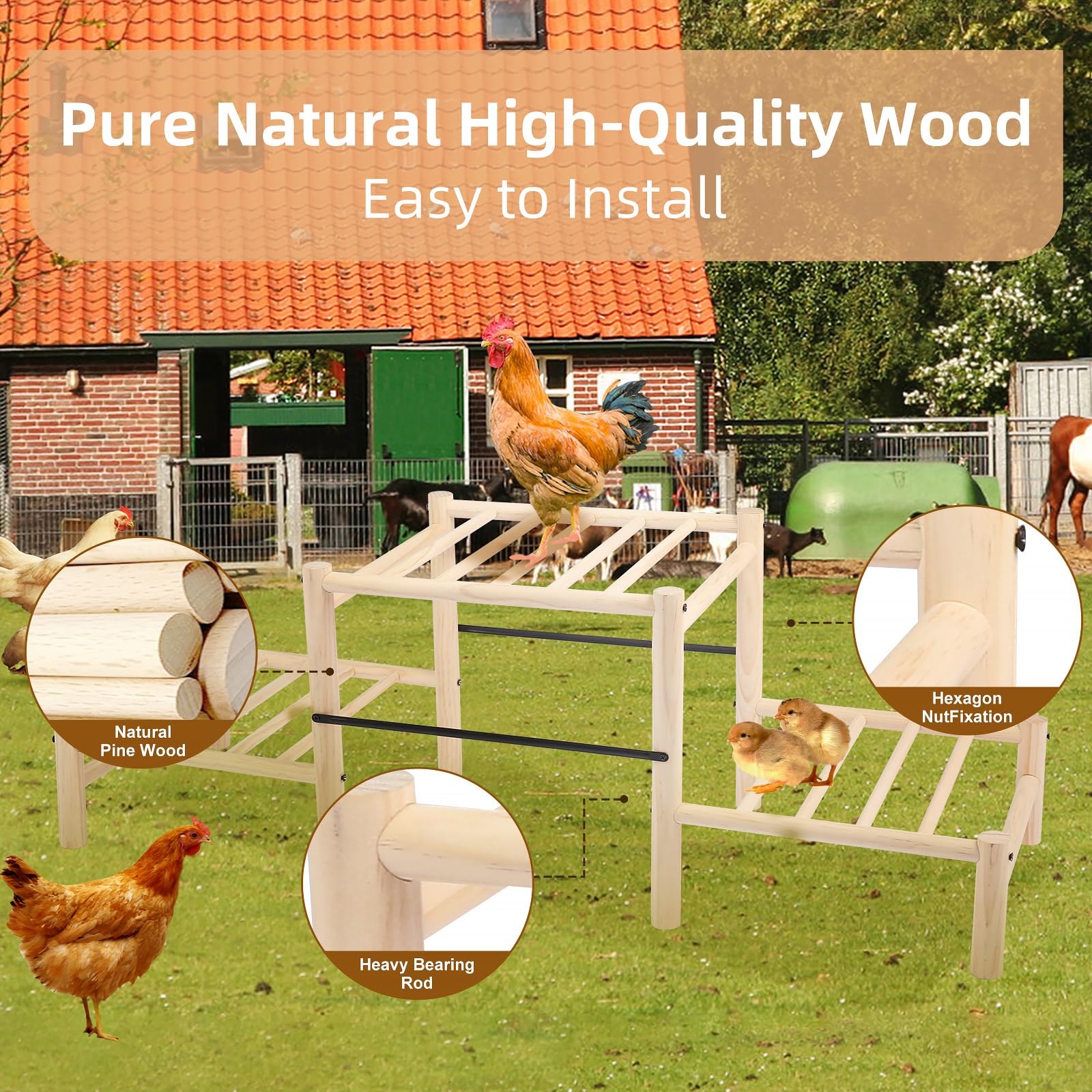 Moyardow beech wood perch assembly demonstrates sturdy coop setup.