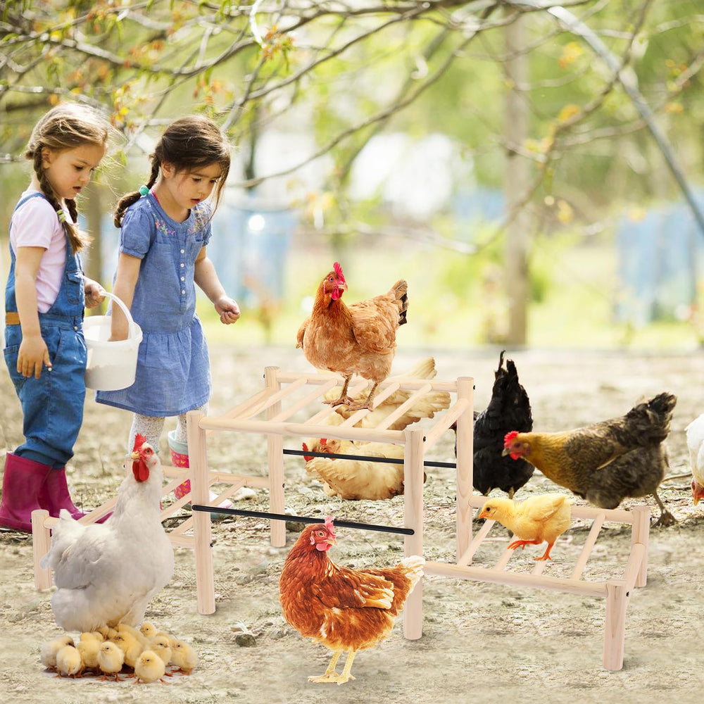Moyardow large roost holds feeders and water dishes neatly.