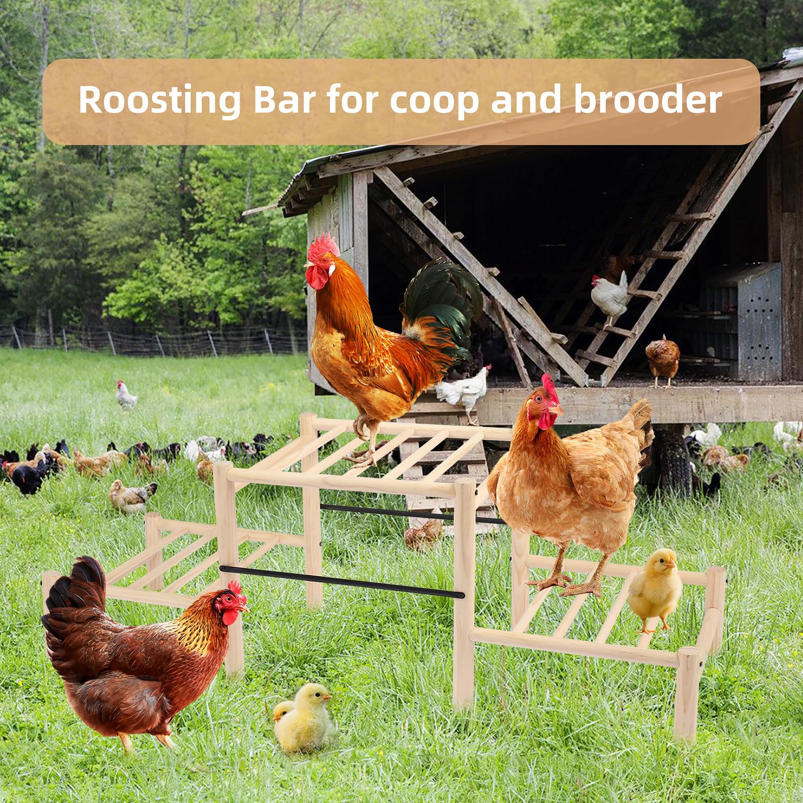 Moyardow multi-functional perch doubles as coop toy and resting spot.