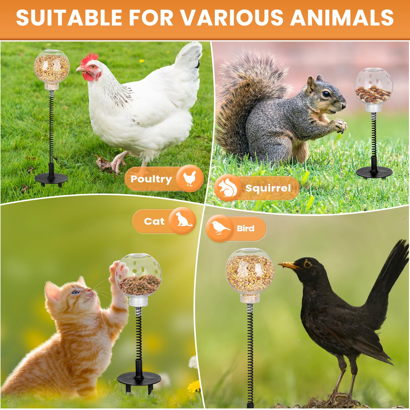 Moyardow Peck Toy reduces boredom by promoting slow-feeder play for hens