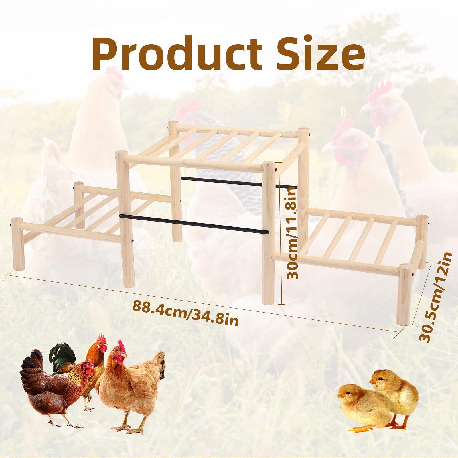 Moyardow roosting bar dimensions showing wide roosting surface for chicks.