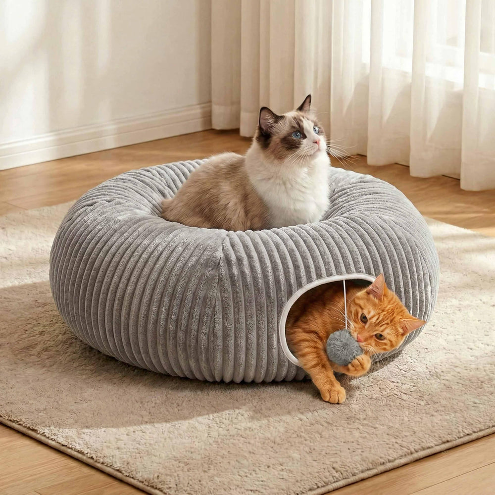 MOYMO 2-in-1 design blends play zone with a cozy resting spot for cats.