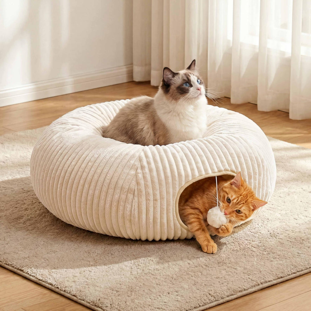 MOYMO cat tunnel bed 10-inch tunnel diameter and 15-inch mat for space