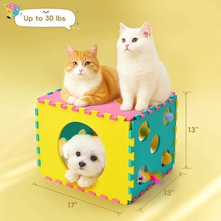 MOYMO dice hideaway offers a quirky retreat for curious cats to explore.