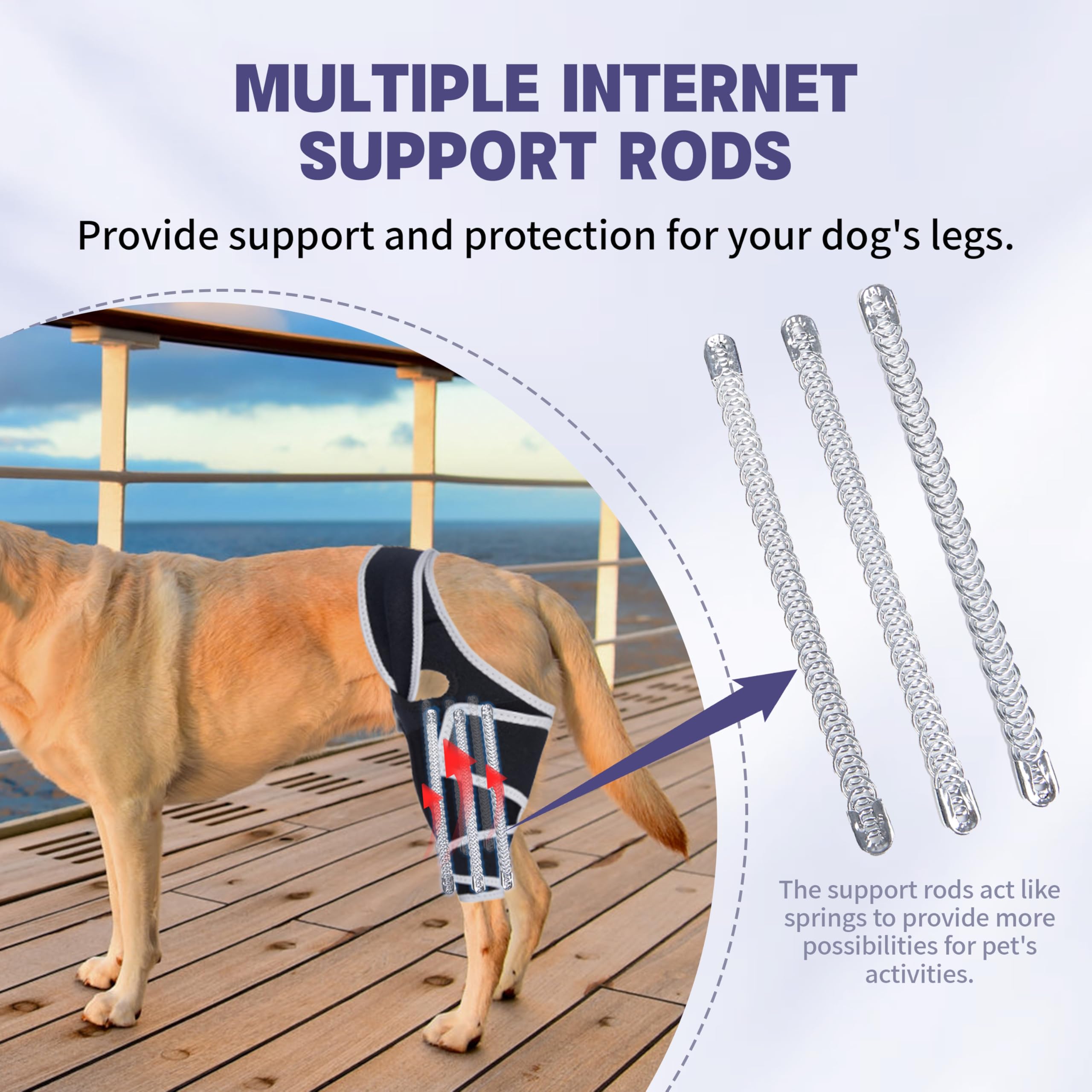 Brace positioned on front or hind leg with Moysoon design for versatility