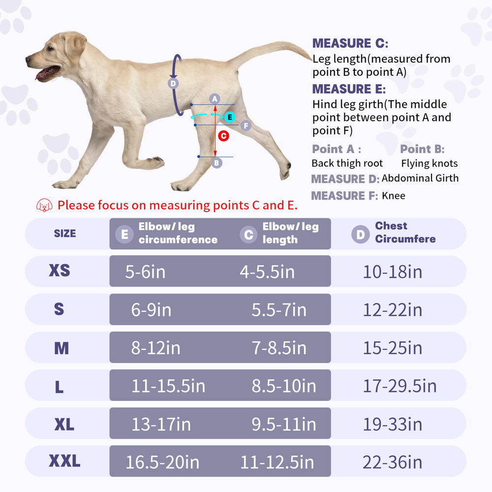 Size L Moysoon knee brace with measurement guide for large dogs
