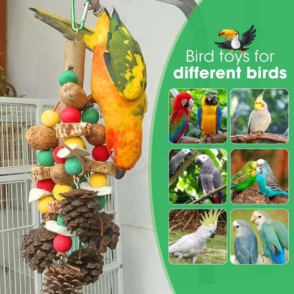 Multicolor MQUPIN blocks encourage beak conditioning and playful exploration.