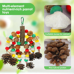 MQUPIN parrot toy with cuttlefish bones for calcium-like support and gnawing fun.