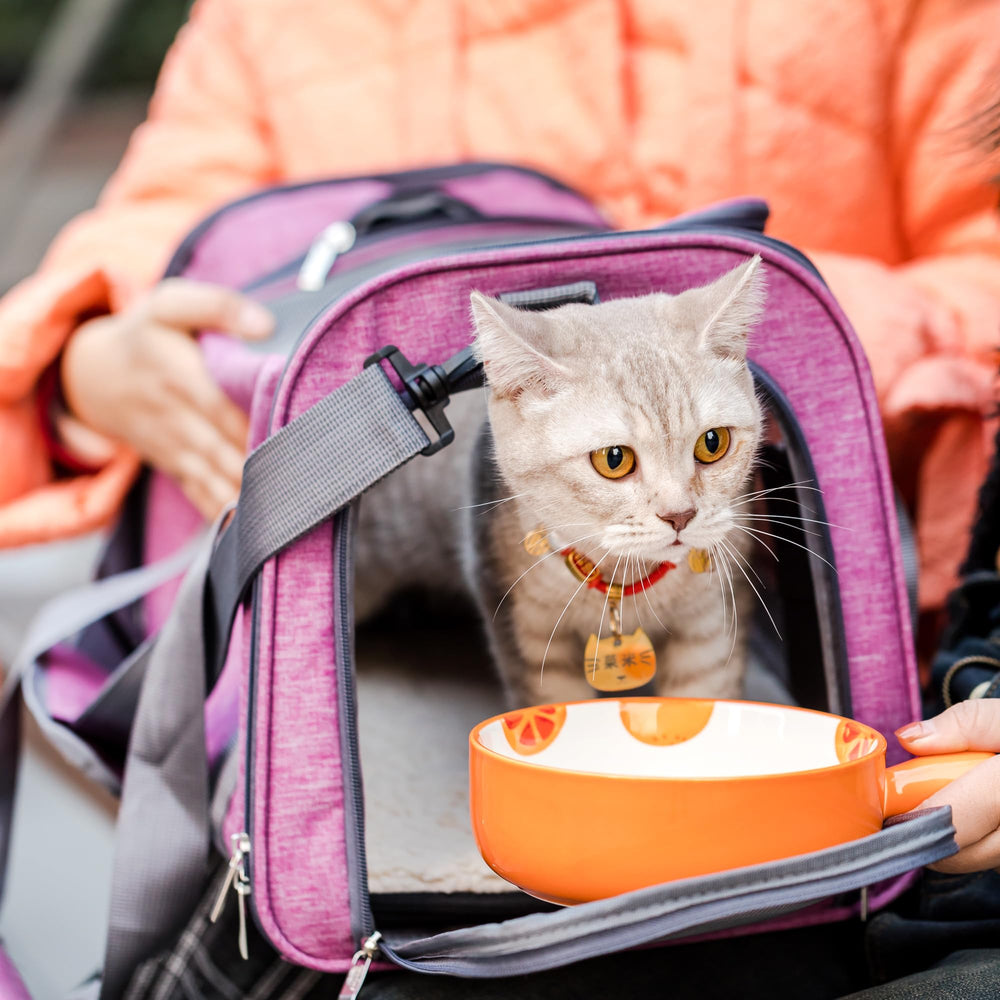 Mr. Pen pet carrier safety inner leash for added security