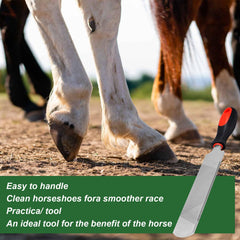Mriuuod hoof rasp in carbon steel for durability and precision