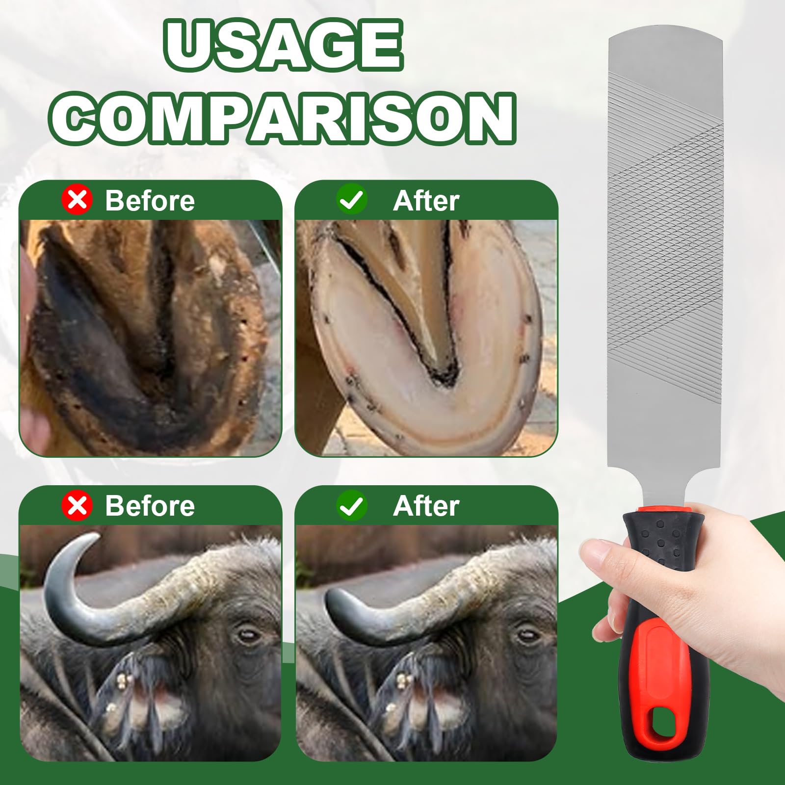 Mriuuod hoof rasp smoothing and rounding hooves to remove burrs