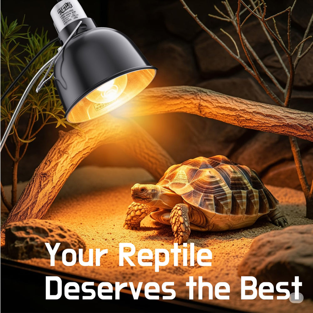 MRREPTILE ceramic heat emitter compatibility supports nighttime warmth without visible light.