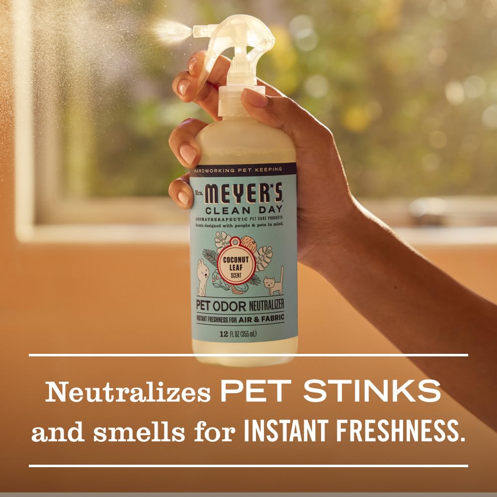 Applying product to upholstery to treat pet messes with Mrs. Meyer's.
