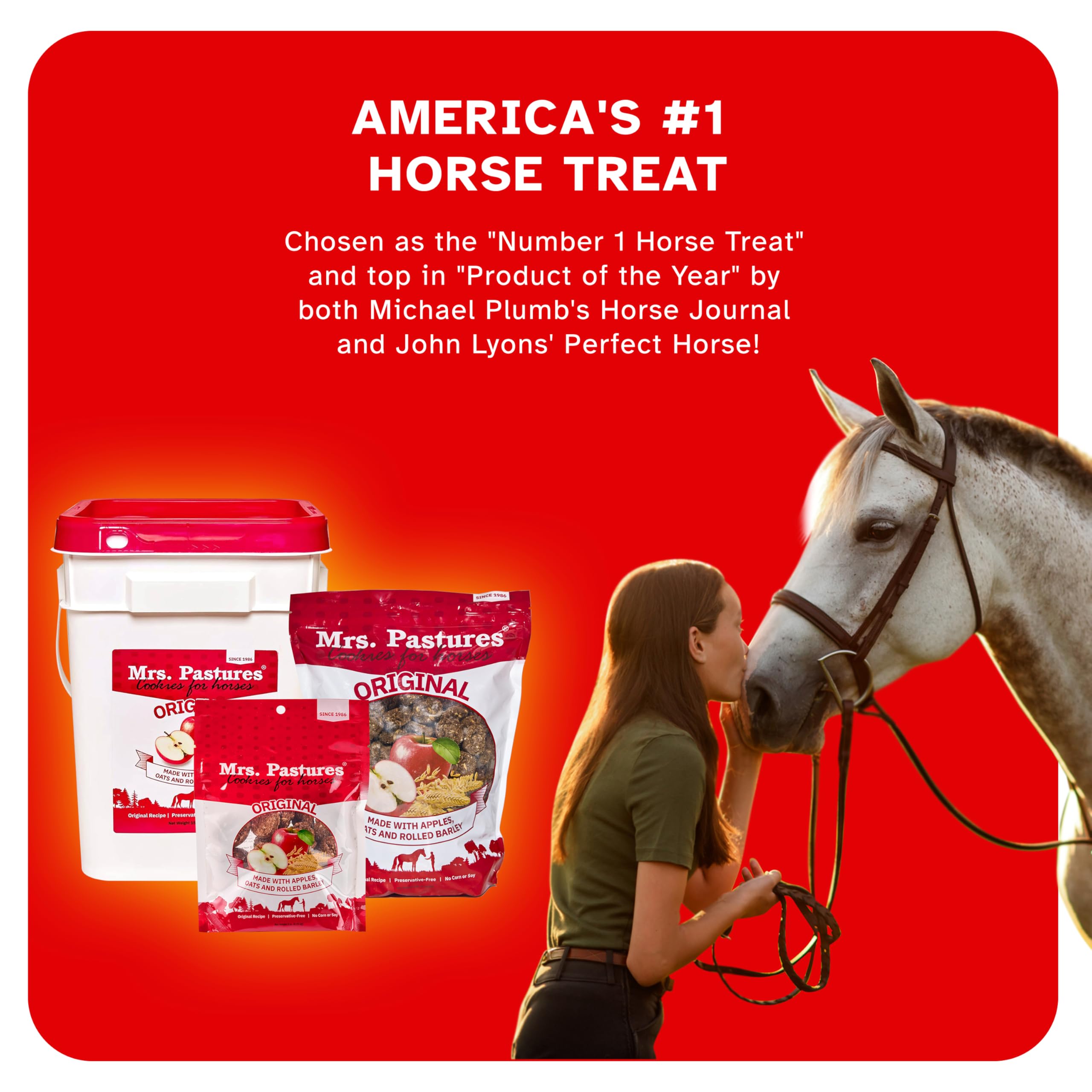 Mrs. Pastures Cookies horse-positivity: enjoy snack during mounting block practice.