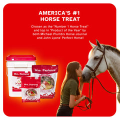 Mrs. Pastures Cookies horse-positivity: enjoy snack during mounting block practice.
