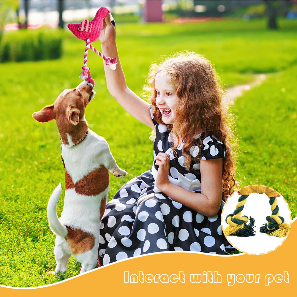 MRSOHRET variety dog toy bundle for daily entertainment