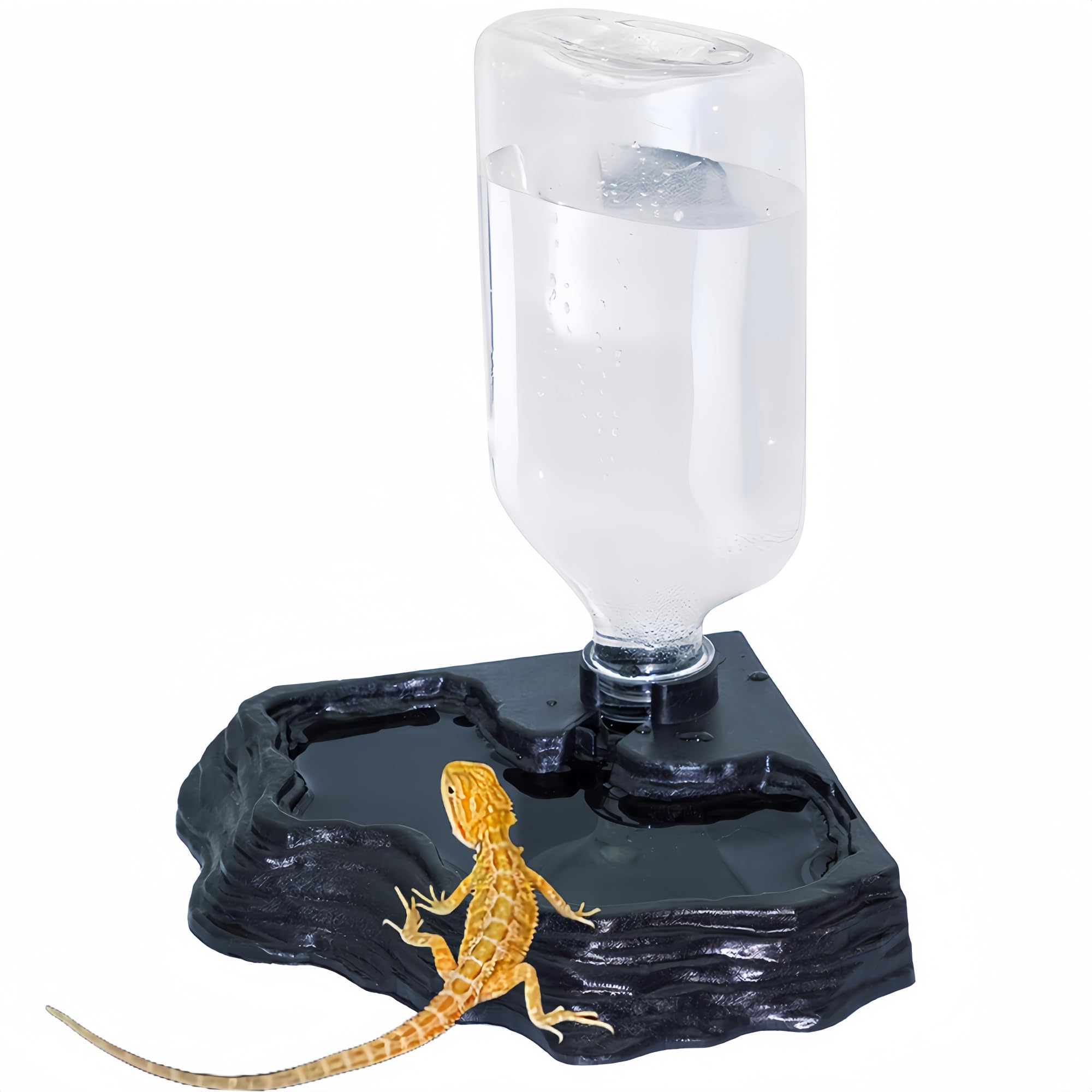 MRTIOO 17oz terrarium water feeder bowl with clear reservoir for easy water checks.