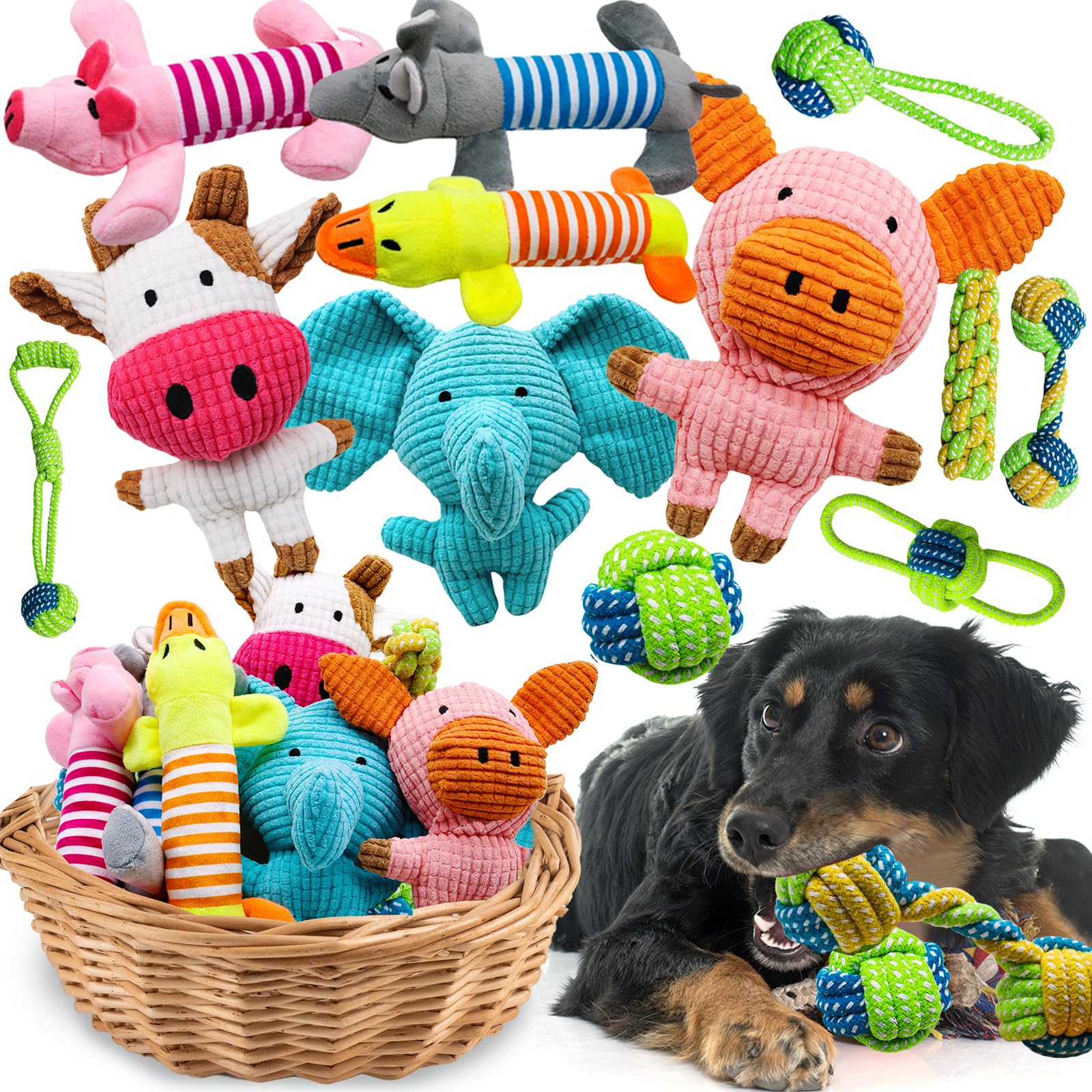 Mruq pet 12-pack dog squeaky toys set for interactive play and focus
