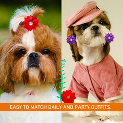 Mruq pet topknot pearls design adds chic touch to small dogs.