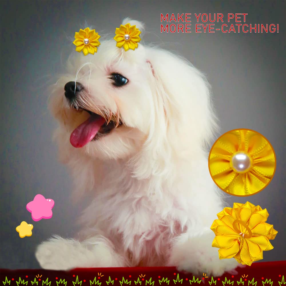 Mruq pet yorkie puppy bows closeup for adorable grooming looks.