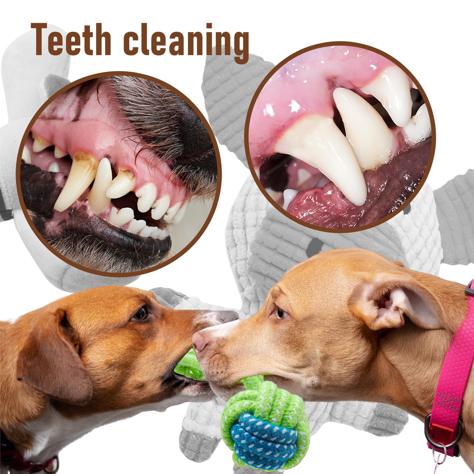 Mruq pet rope toys for small dogs perfect for tug-of-war and fetch