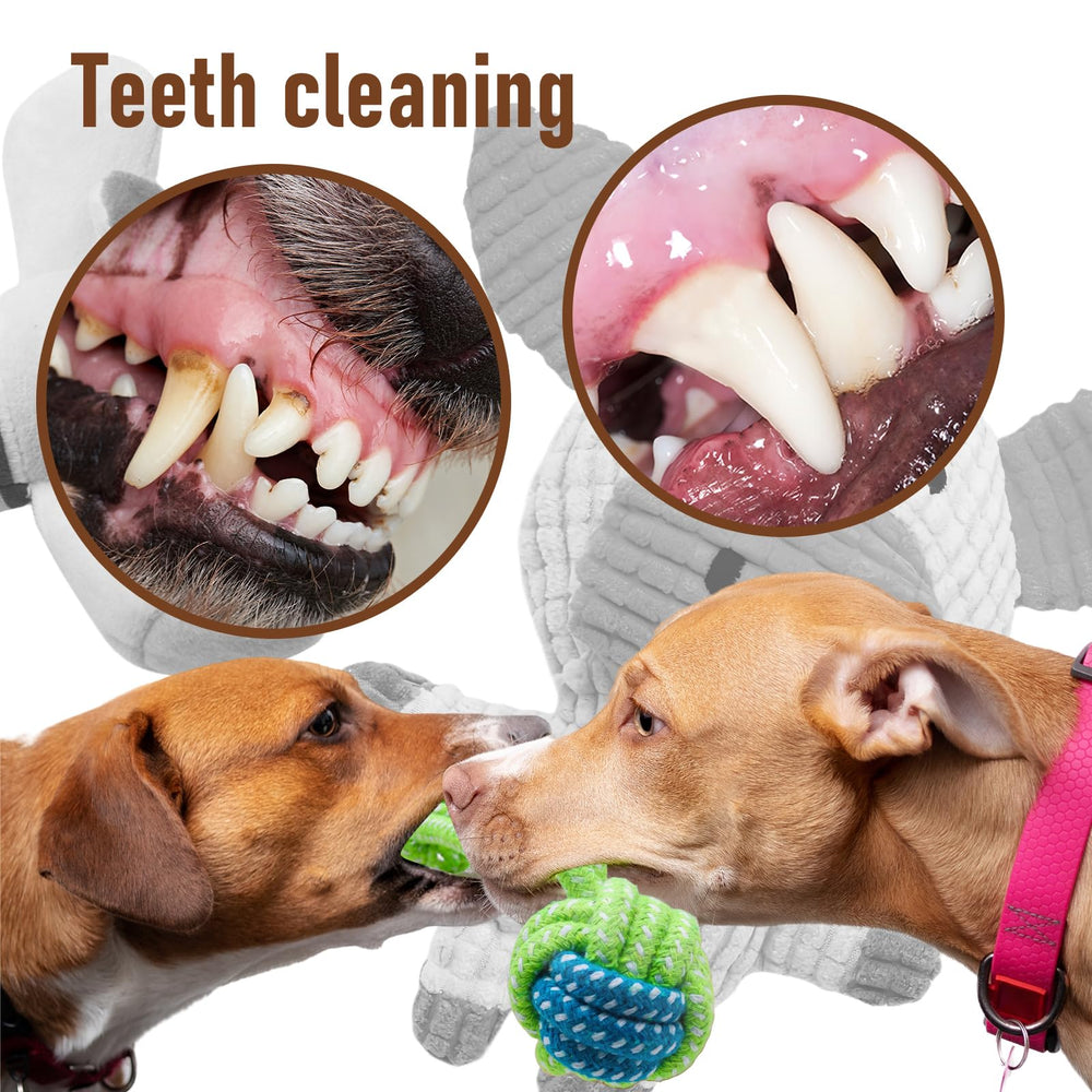 Mruq pet rope toys for small dogs perfect for tug-of-war and fetch