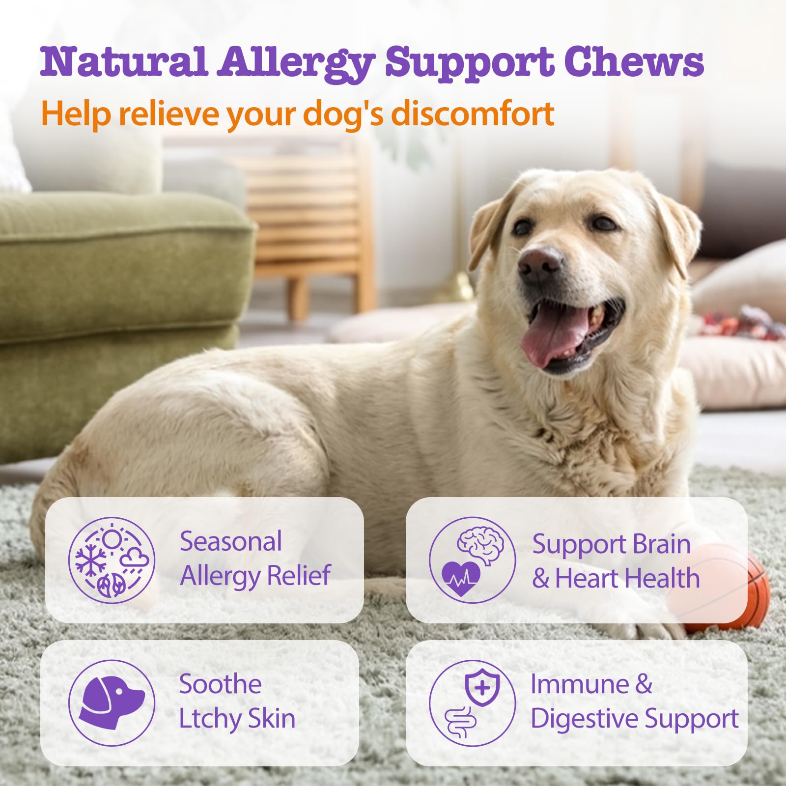 Mshuheene Dog Allergy Chews chicken-flavor chews for palatable itch relief.