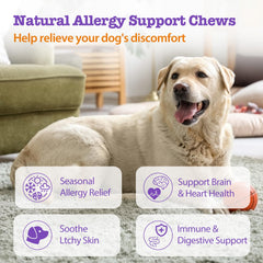 Mshuheene Dog Allergy Chews chicken-flavor chews for palatable itch relief.
