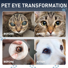 Msktasy pet eye care routine scene for comfort and ease.