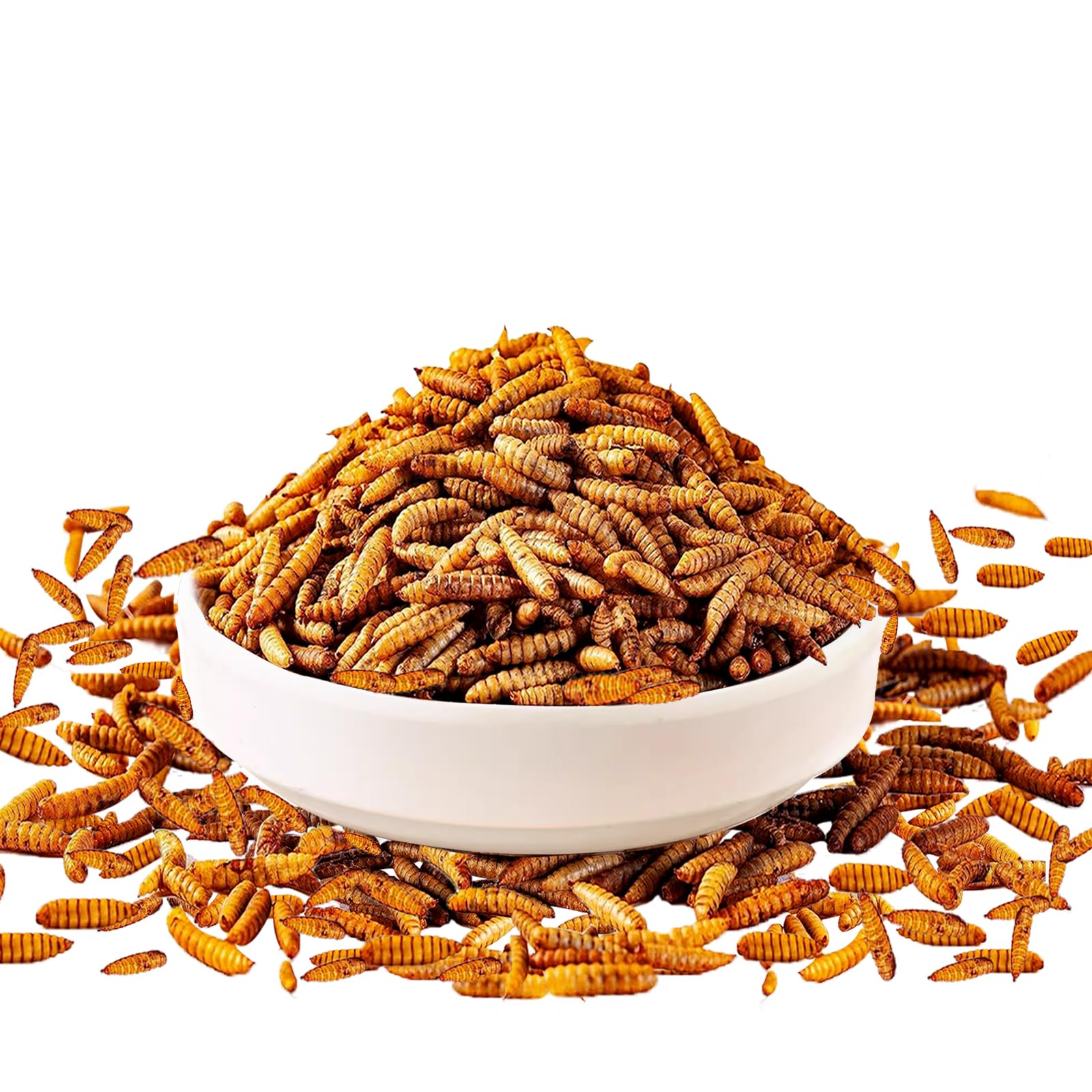 MTART larvae in a feeding bowl, calcium-rich nutrition for eggshell strength.