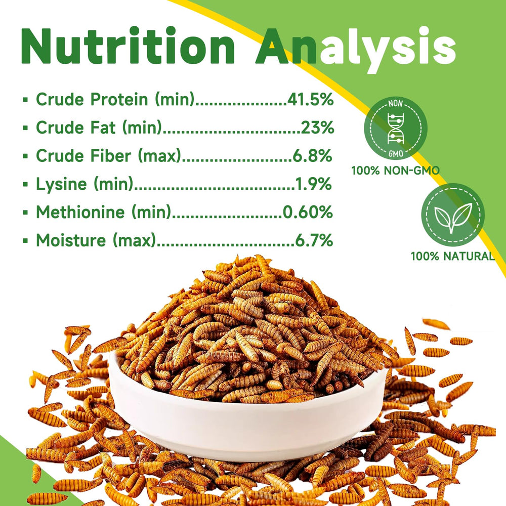 MTART eco-friendly packaging with larvae, showcasing sustainable protein source for animals.