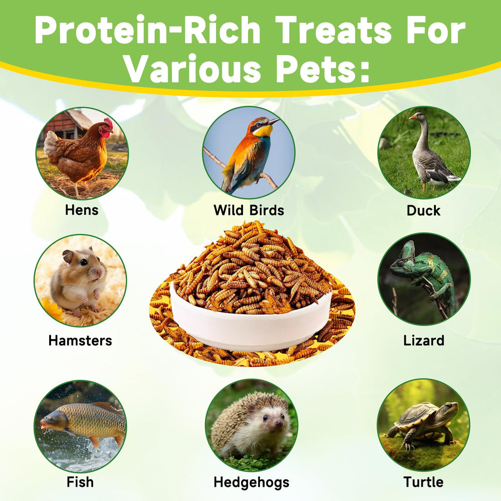 MTART sustainable, safe larvae treat for birds and small pets.