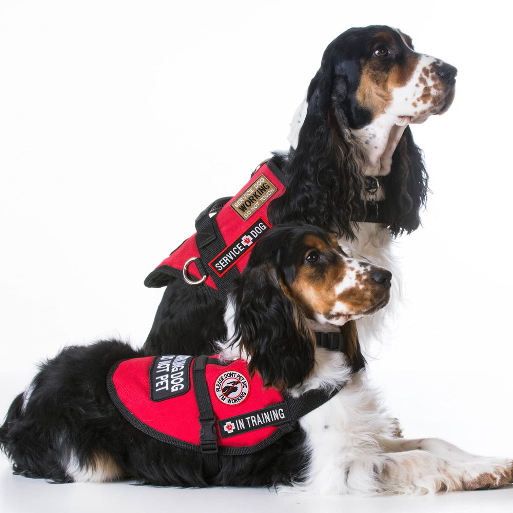 Patches compatible with vests, backpacks, and other service dog gear