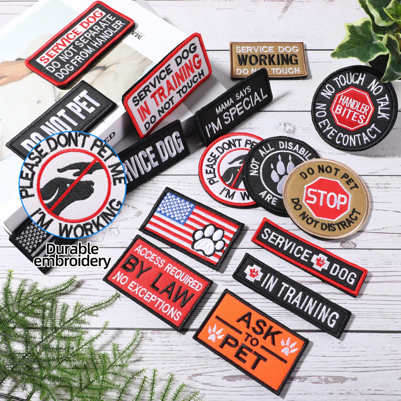 Removable patches shown on a dog collar and leash