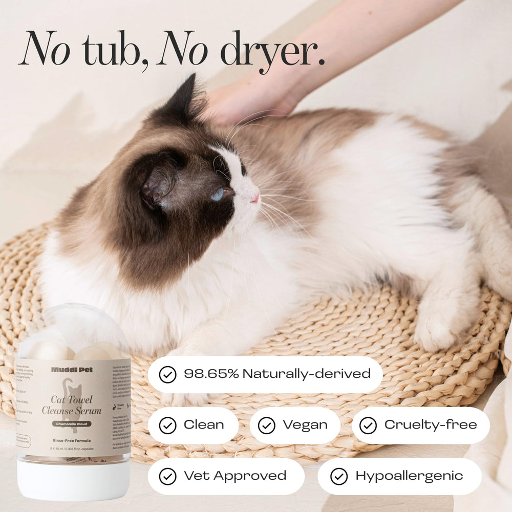 Relaxed Muddi Pet cat after shampoo with calm coat and refreshed look