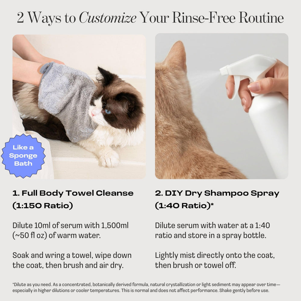 Muddi Pet towel-cleanse application shows easy no-rinse cleanup for cats