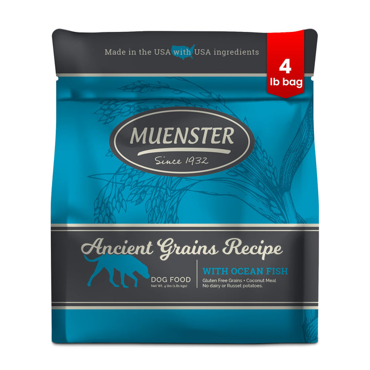 Muenster Ancient Grains Ocean Fish dry dog food bag highlights gluten-free, high-protein nutrition for small dogs.