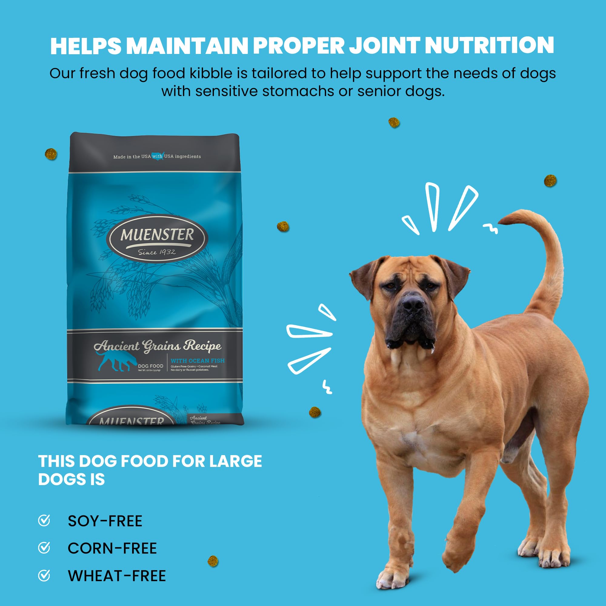 Muenster Ancient Grains Ocean Fish ingredients sorghum and flaxseed support natural energy and digestion.