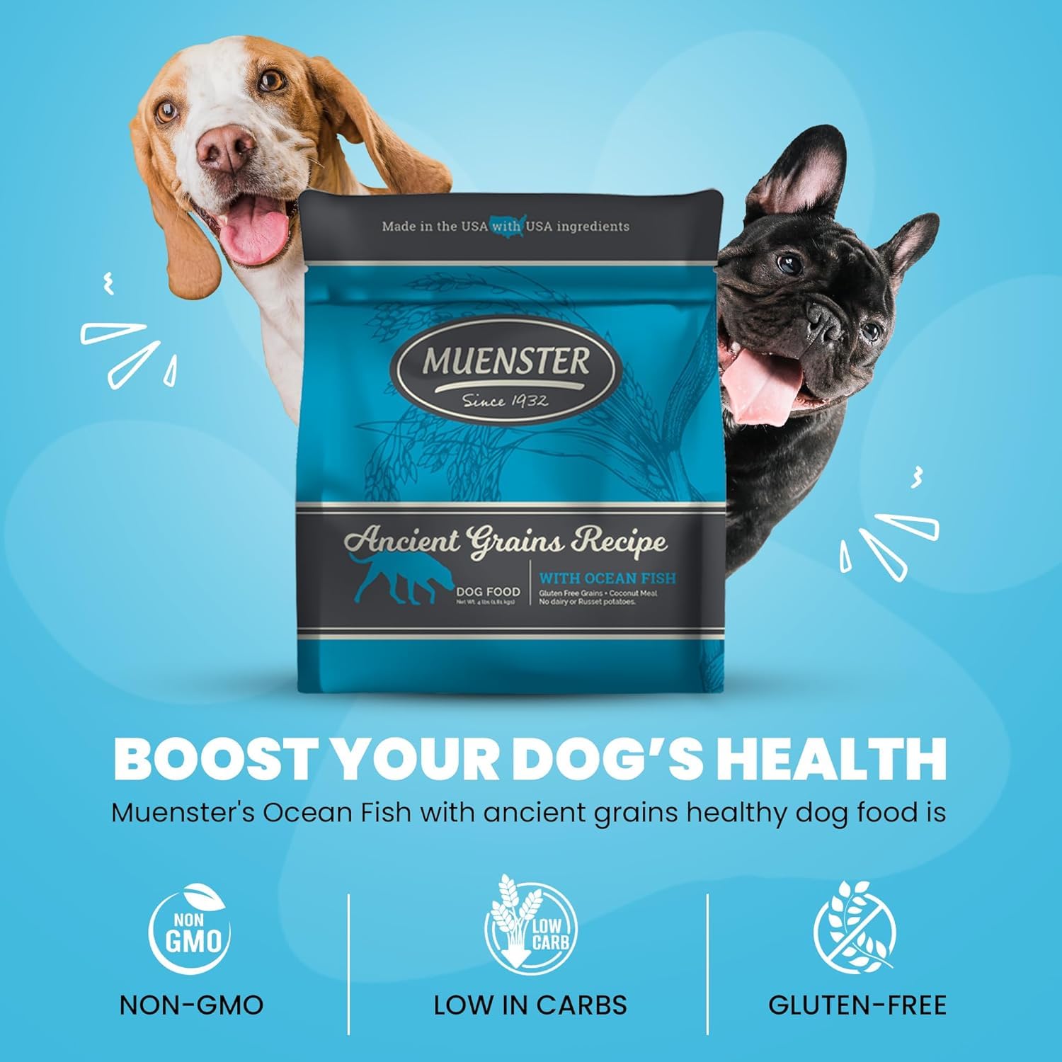 Muenster Ancient Grains Ocean Fish final serving shot highlights energy for small dogs.