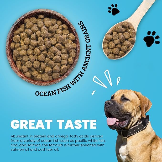 Muenster Ancient Grains Ocean Fish omega-3-rich formula supports coat and skin health.