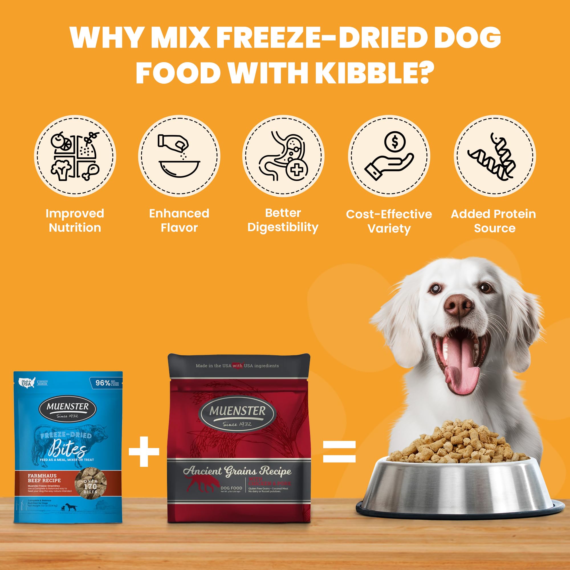 Muenster Ancient Grains Ocean Fish kibble close-up suggests joint-friendly nutrition for active dogs.
