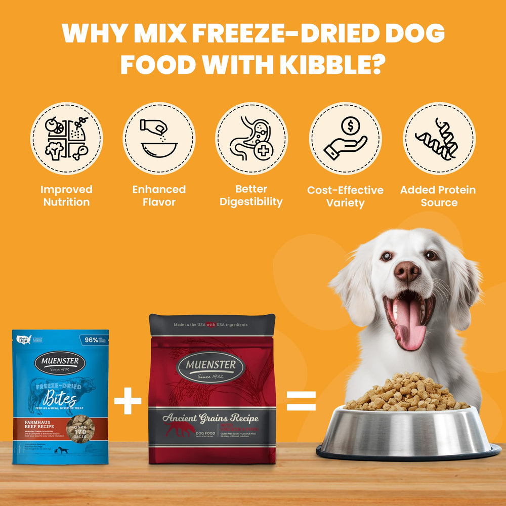 Muenster Ancient Grains Ocean Fish kibble close-up suggests joint-friendly nutrition for active dogs.