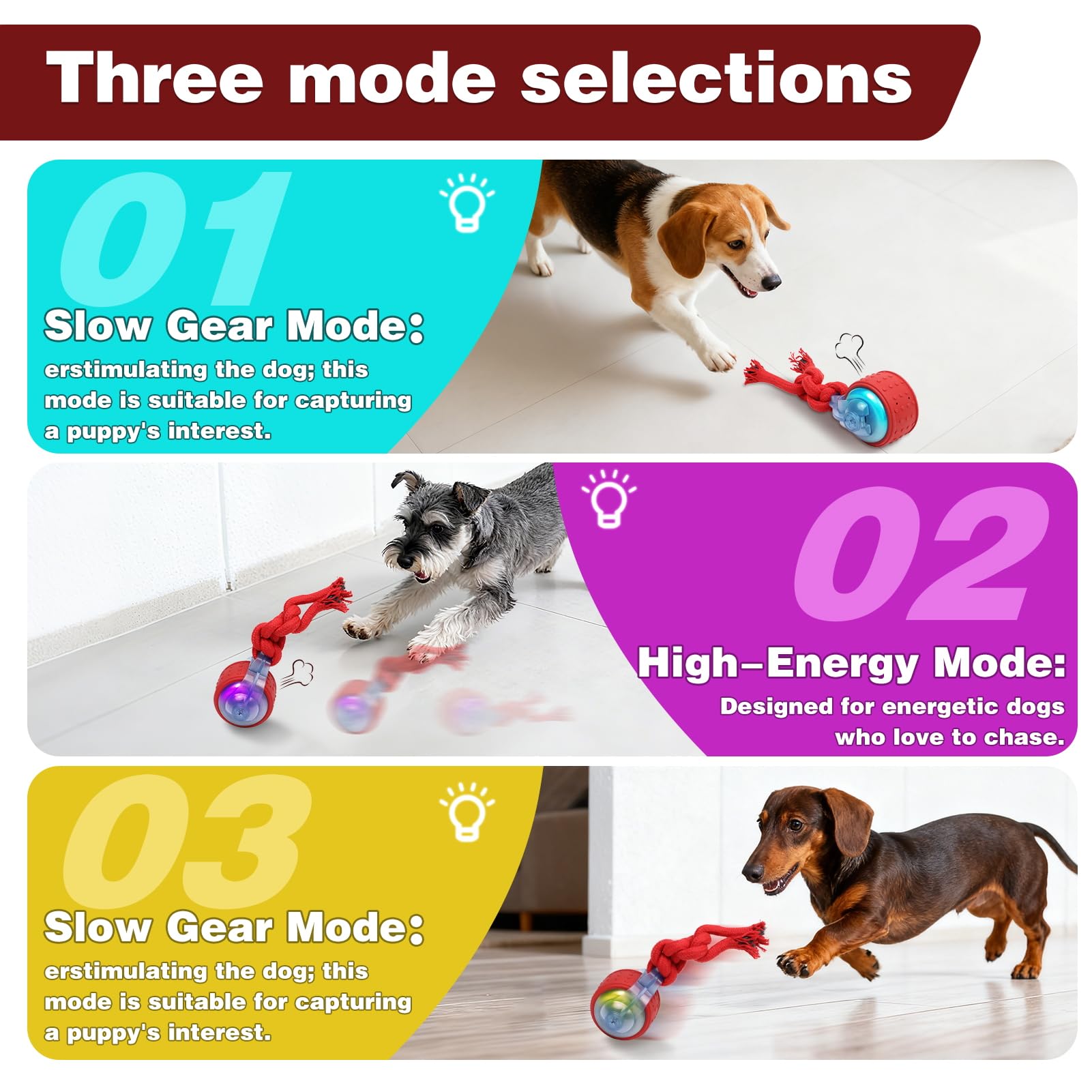 Motion-activated ball on floor ready for lively dog chase