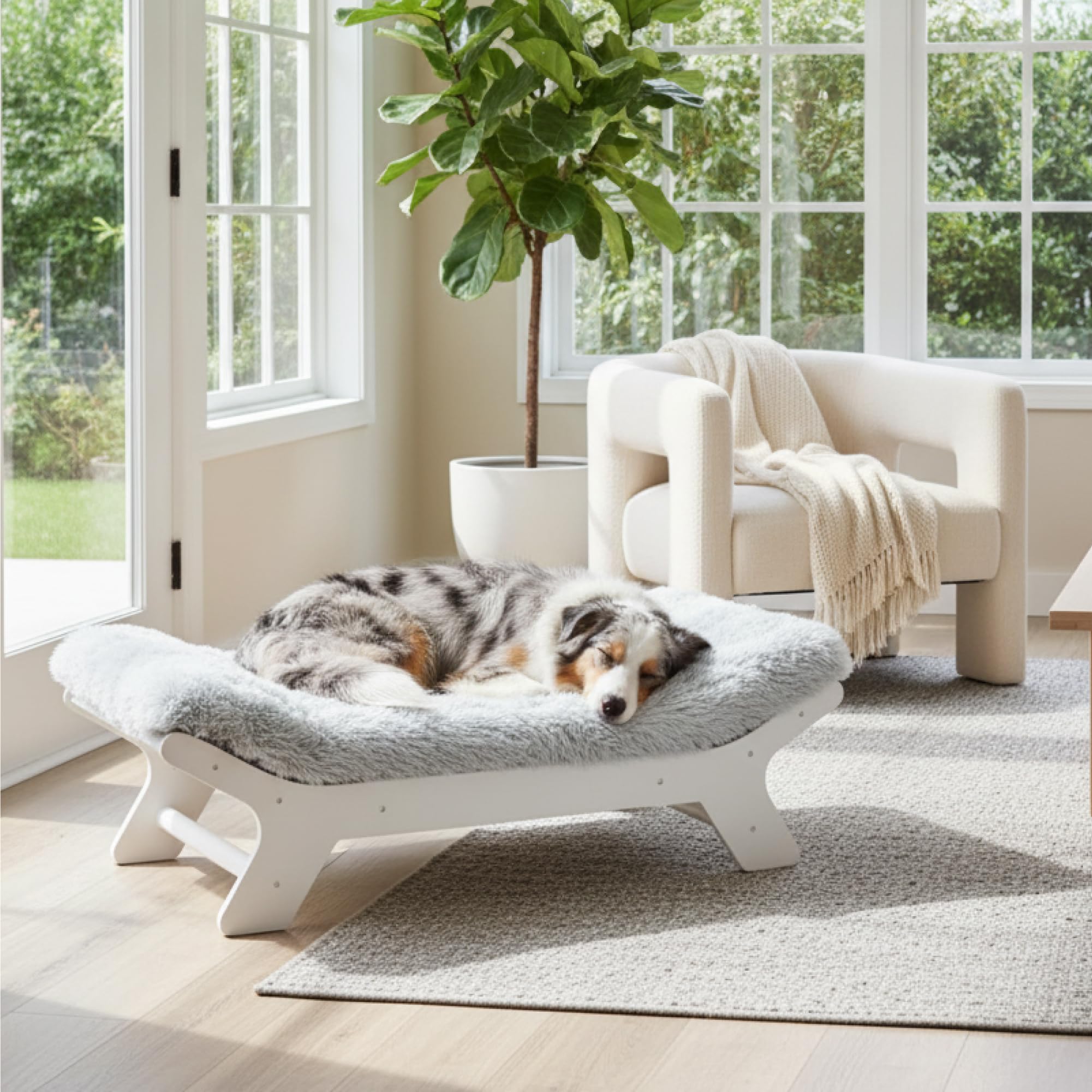 Muihood elegant-dog-bed-integrates-home-decor while providing a premium sleeping spot.