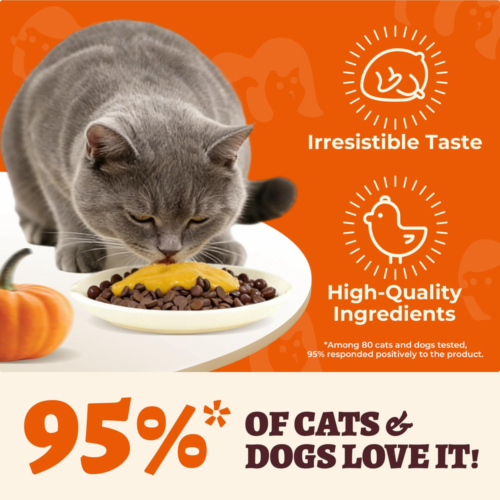 MULTIBITES pumpkin puree squeezable pouch shown for easy pet topping application.