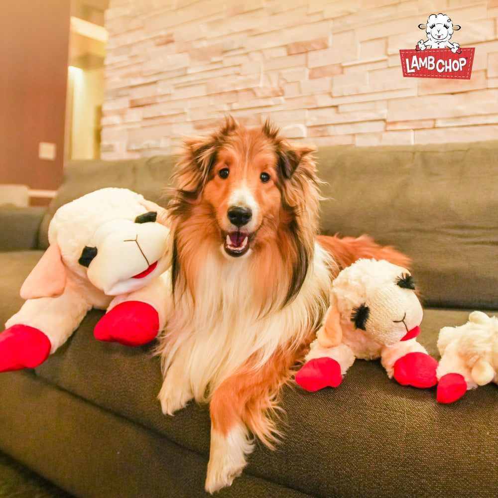 Multipet Lamb Chop official licensed cream, trusted toy for fans of classic characters.
