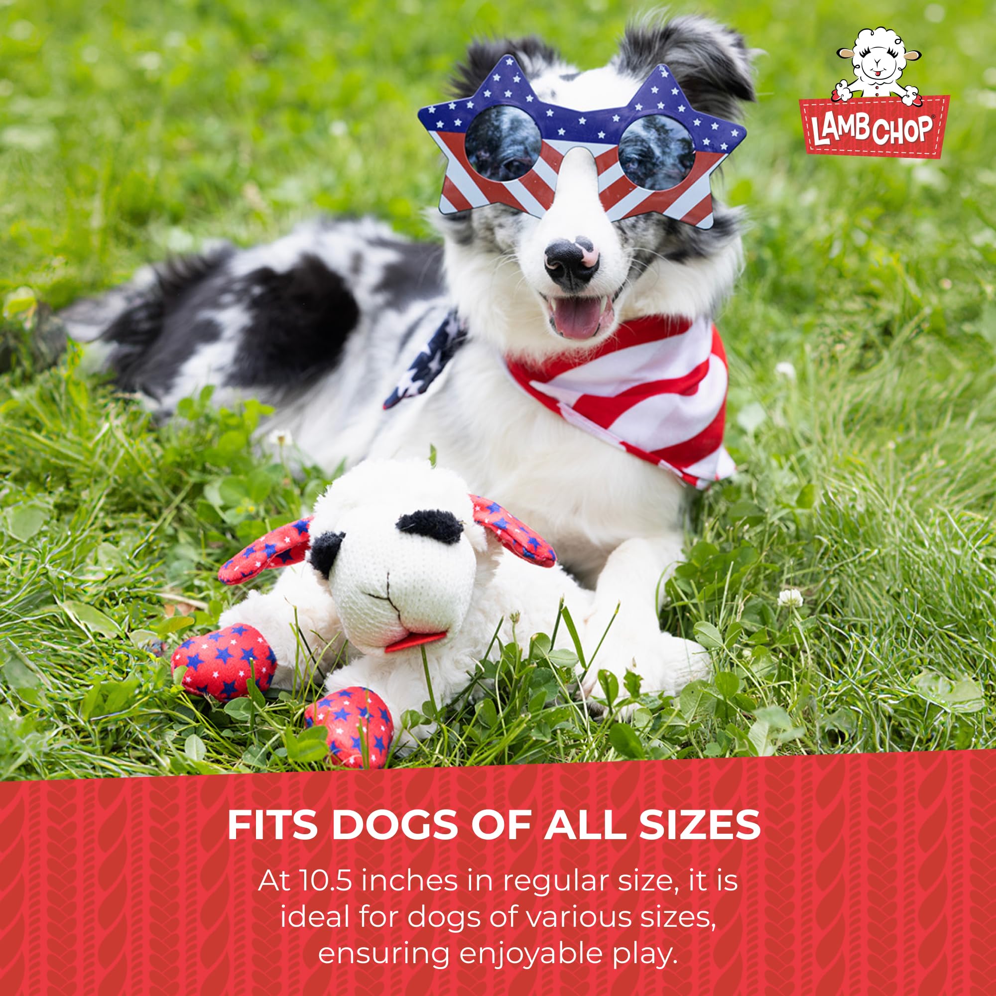 Multipet Lamb Chop close up squeaker offers ongoing entertainment