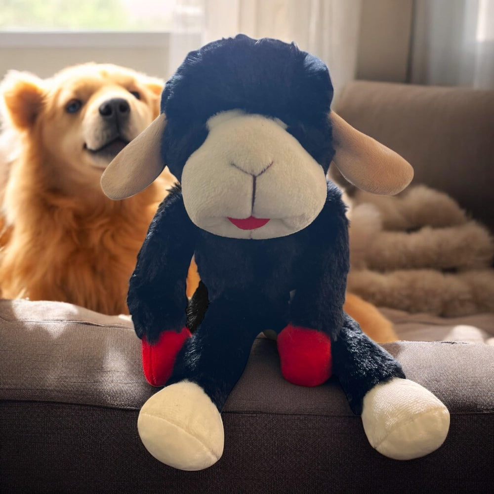 Multipet Lamb Chop toy with squeaker boosts engagement during fetch and interactive sessions.