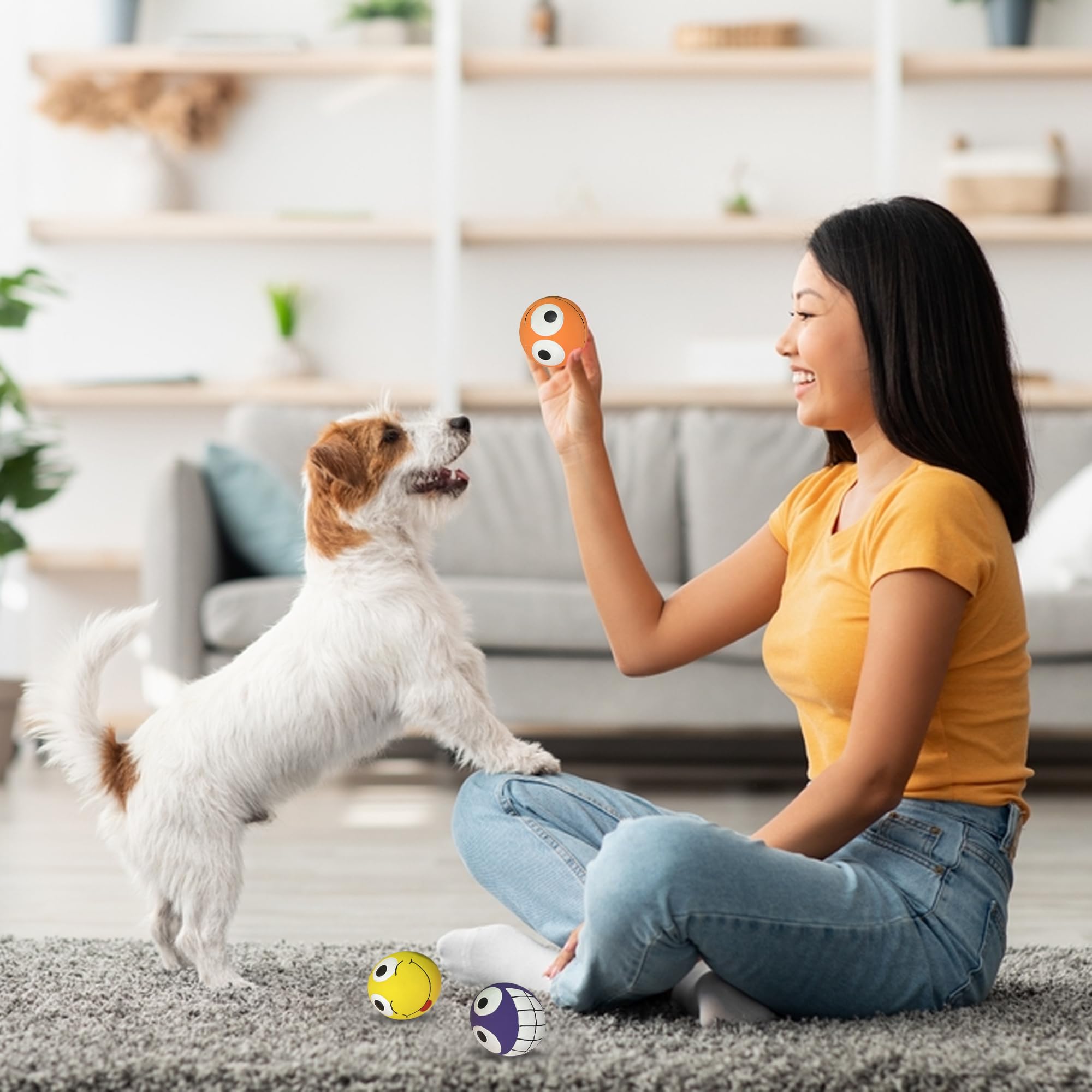 Multipet Three Peas in a Pod setup for dog play and training sessions.